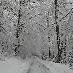 度假居 Maison Au Coeur De La Foret Dans Le Sidobre - Gr36