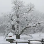 Maison Au Coeur De La Foret Dans Le Sidobre - Gr36 * Lacrouzette