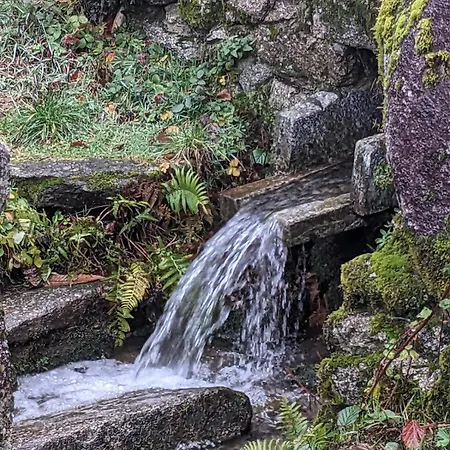 Maison Au Coeur De La Foret Dans Le Sidobre - Gr36 Ferienhaus Lacrouzette