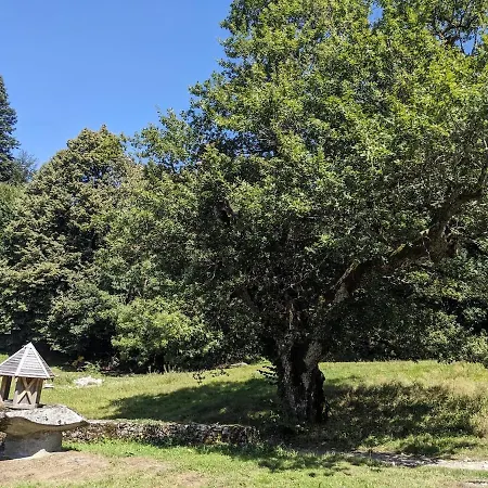 Holiday home Maison Au Coeur De La Foret Dans Le Sidobre - Gr36 Lacrouzette