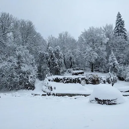 Maison Au Coeur De La Foret Dans Le Sidobre - Gr36 Ferienhaus *