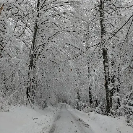 بيت للعطل Maison Au Coeur De La Foret Dans Le Sidobre - Gr36