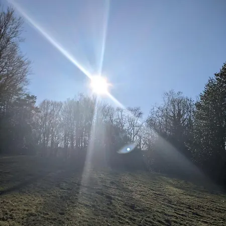 Maison Au Coeur De La Foret Dans Le Sidobre - Gr36