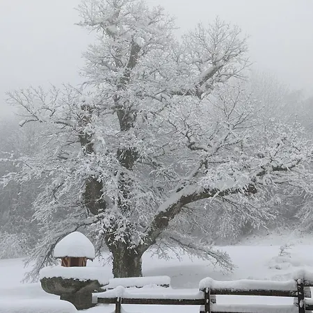 Maison Au Coeur De La Foret Dans Le Sidobre - Gr36 * Lacrouzette
