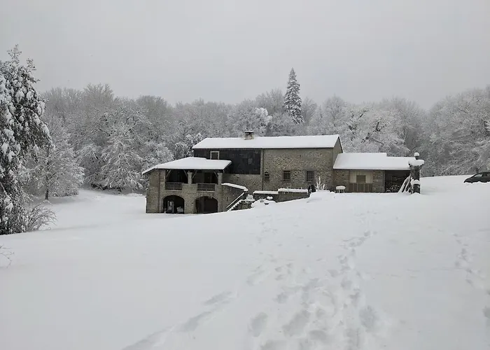 Ferienhaus Maison Au Coeur De La Foret Dans Le Sidobre - Gr36 Lacrouzette