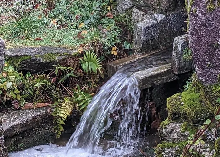 Maison Au Coeur De La Foret Dans Le Sidobre - Gr36 Ferienhaus Lacrouzette