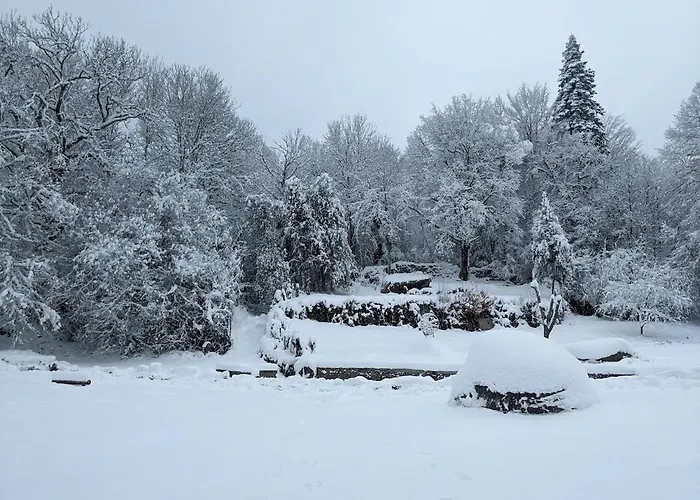 Maison Au Coeur De La Foret Dans Le Sidobre - Gr36 Ferienhaus *