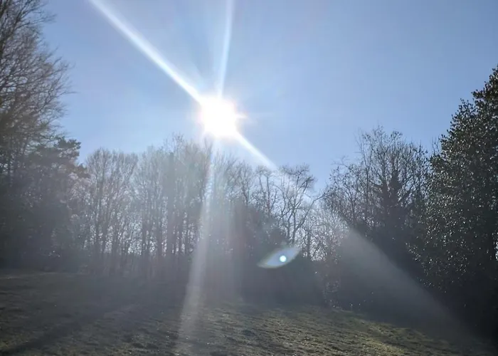 Maison Au Coeur De La Foret Dans Le Sidobre - Gr36