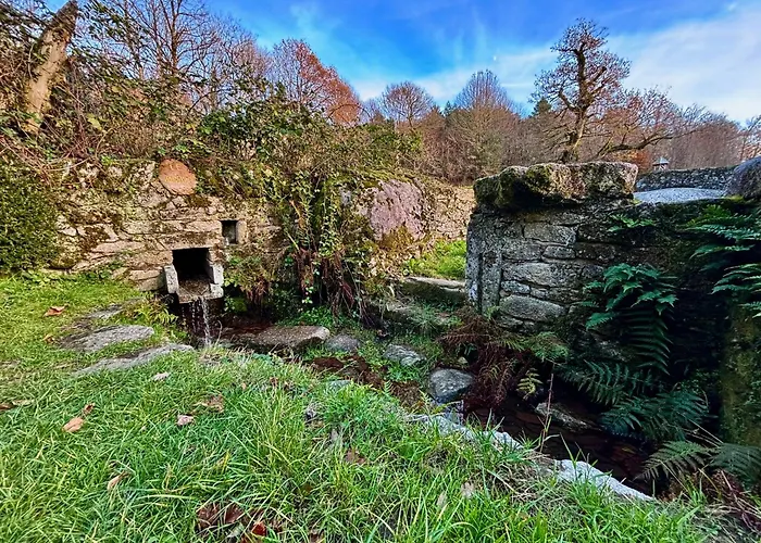 Maison Au Coeur De La Foret Dans Le Sidobre - Gr36 Lacrouzette